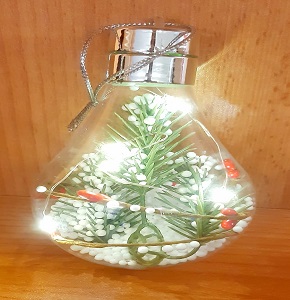 Lumin luminous luminous seasons