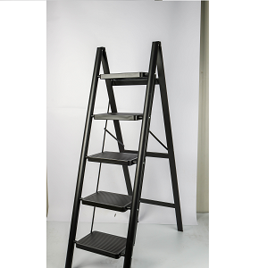 Five-tier extension ladder with durable design and wide steps
