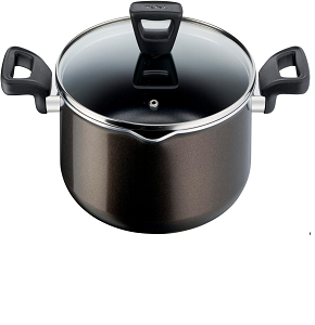 Tefal Zahran XL Intense Pot 28 cm with glass lid

