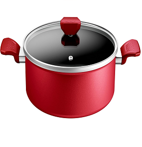 Tefal Zahran Expert pot 28 cm, red

