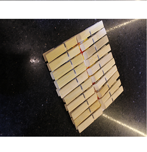 Imported packet of 20 Oscar plastic clips (20g).
