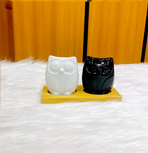 Set of 2-piece porcelain salt and pepper shakers shaped like owls black and white with bamboo wooden base elegant and playful design 
