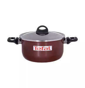 Tefal Zahran Armetal pot 24 cm

