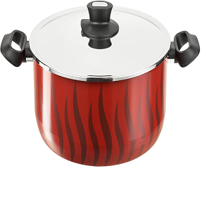 Tefal Tempo Pot 30 cm G6

