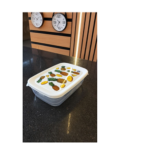 "Froto fridge set 900 ml"